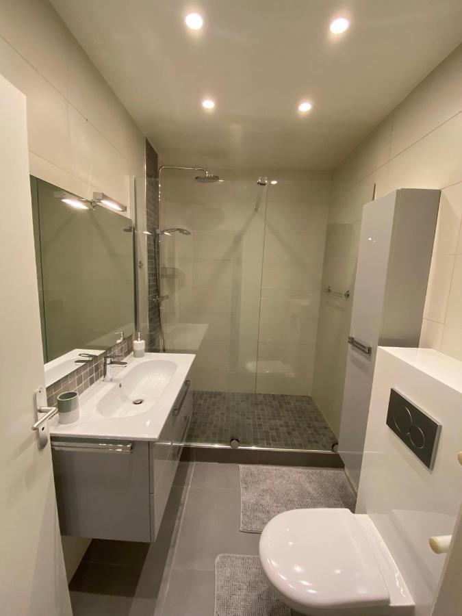Appartement 2 Pieces De 44M² En Centre Ville Маньи-лез-Амо Экстерьер фото